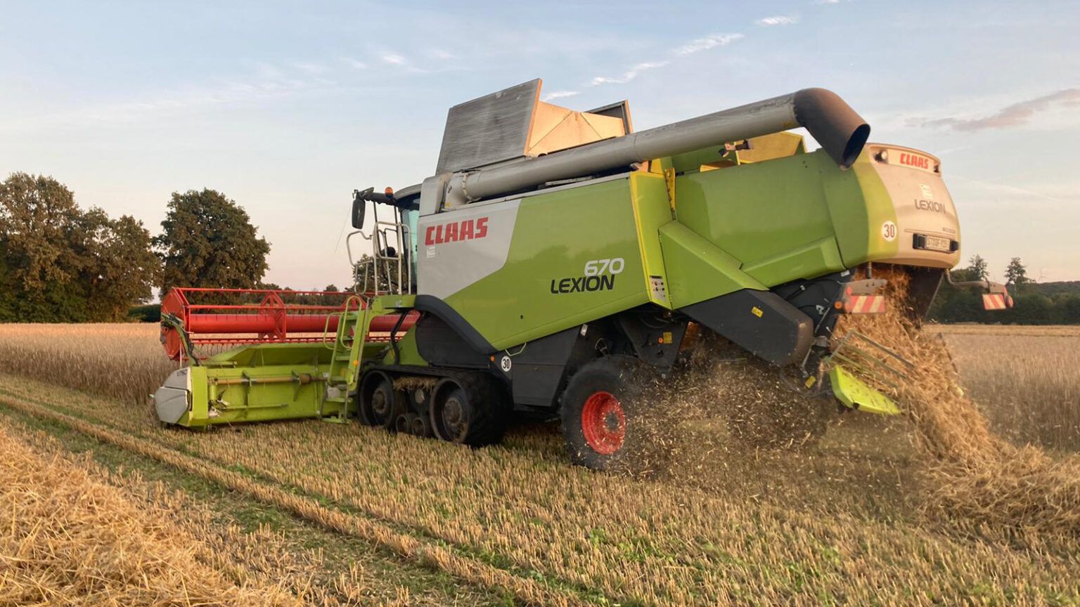 WhatsApp Image 2021-08-25 at 10.48.57