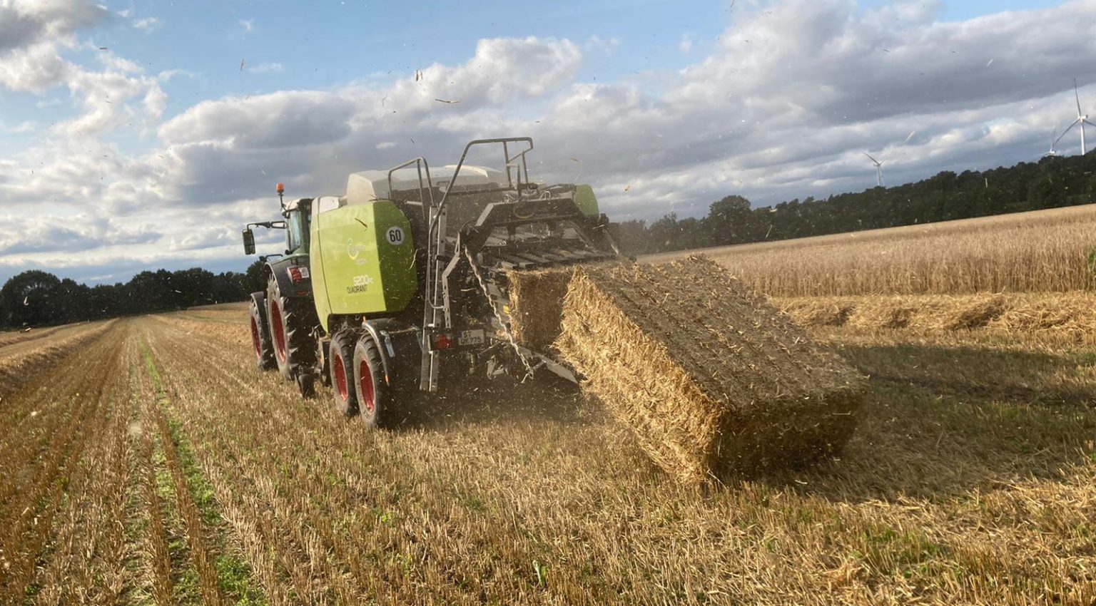 WhatsApp Image 2021-08-25 at 18.07.46