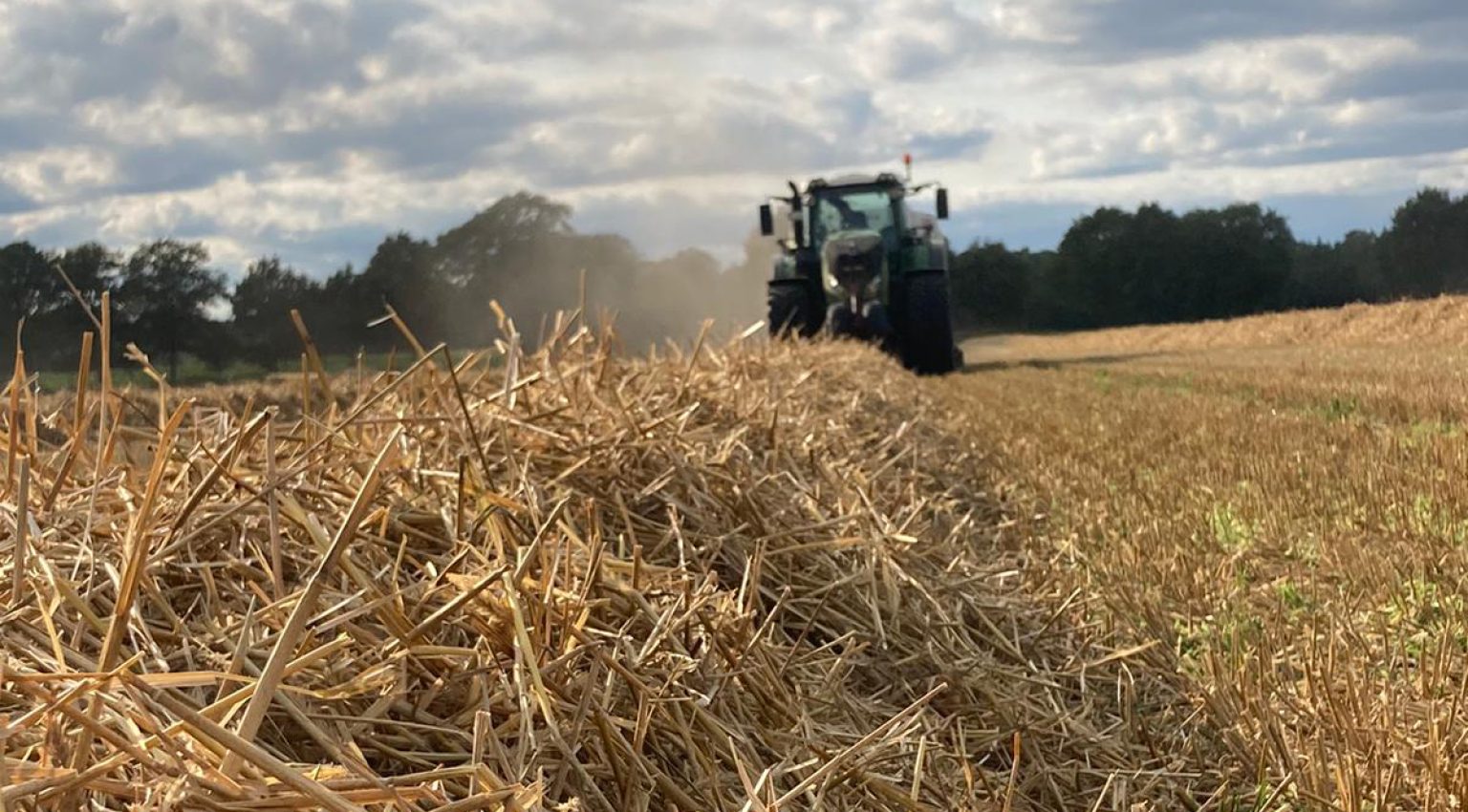 WhatsApp Image 2021-08-25 at 18.11.44